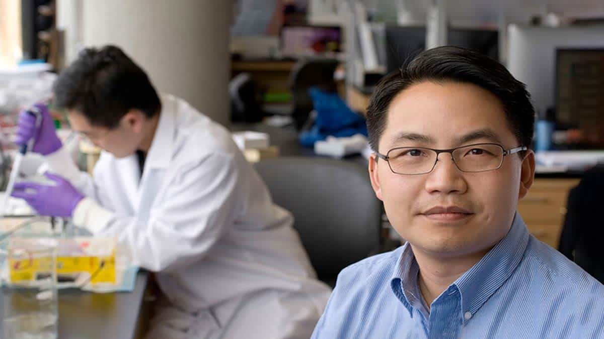 Dr. Howard Chang publishes new epigenetic study