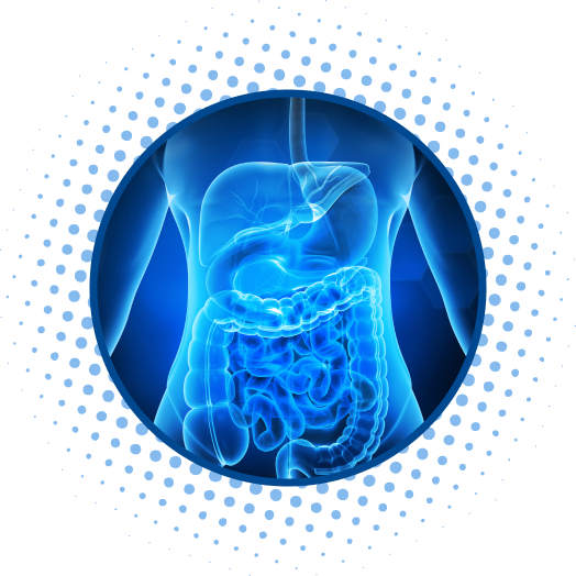 Graphic representing GI system